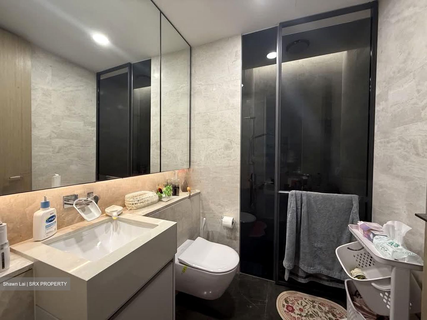 Amber Park (D15), Condominium #566138581
